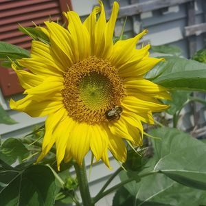 Meet your Posher, Kay